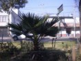 /album/mexico-20071/img-1203969561-476-sm-jpg2/