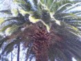 /album/mexico-20071/img-1203969606-870-sm-jpg2/