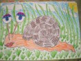 /album/sportos-csiga-rajzpalyazat/img-1244610320-324-sm-jpg/