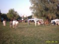 /album/aerobikozok-napja-2006/img-1186266779-854-sm-jpg/