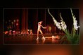 /album/evadzaro-gala-2006/img-1187030392-542-sm-jpg/