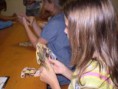 /album/csiga-haz-tabor-2008-mecseknadasd/img-1219827969-768-sm-jpg/