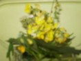 /album/csiga-haz-tabor-2008-mecseknadasd/img-1219830551-128-sm-jpg/