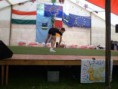 /album/aerobikozok-napja-20072/img-1183354177-289-sm-jpg/