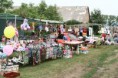 /album/aerobikozok-napja-2008/img-1234052427-131-sm-jpg/